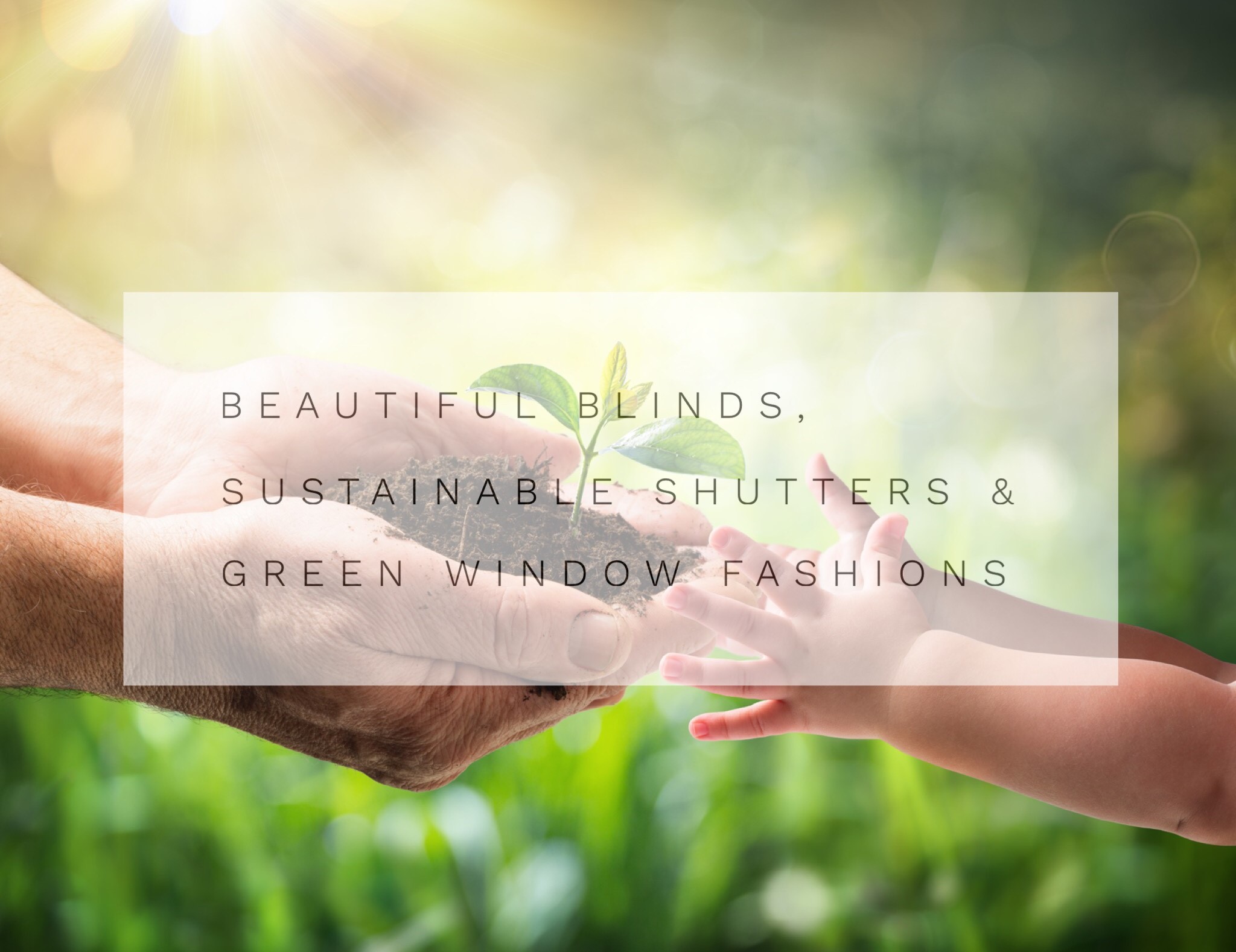 Green Sustainable Window Treatments
